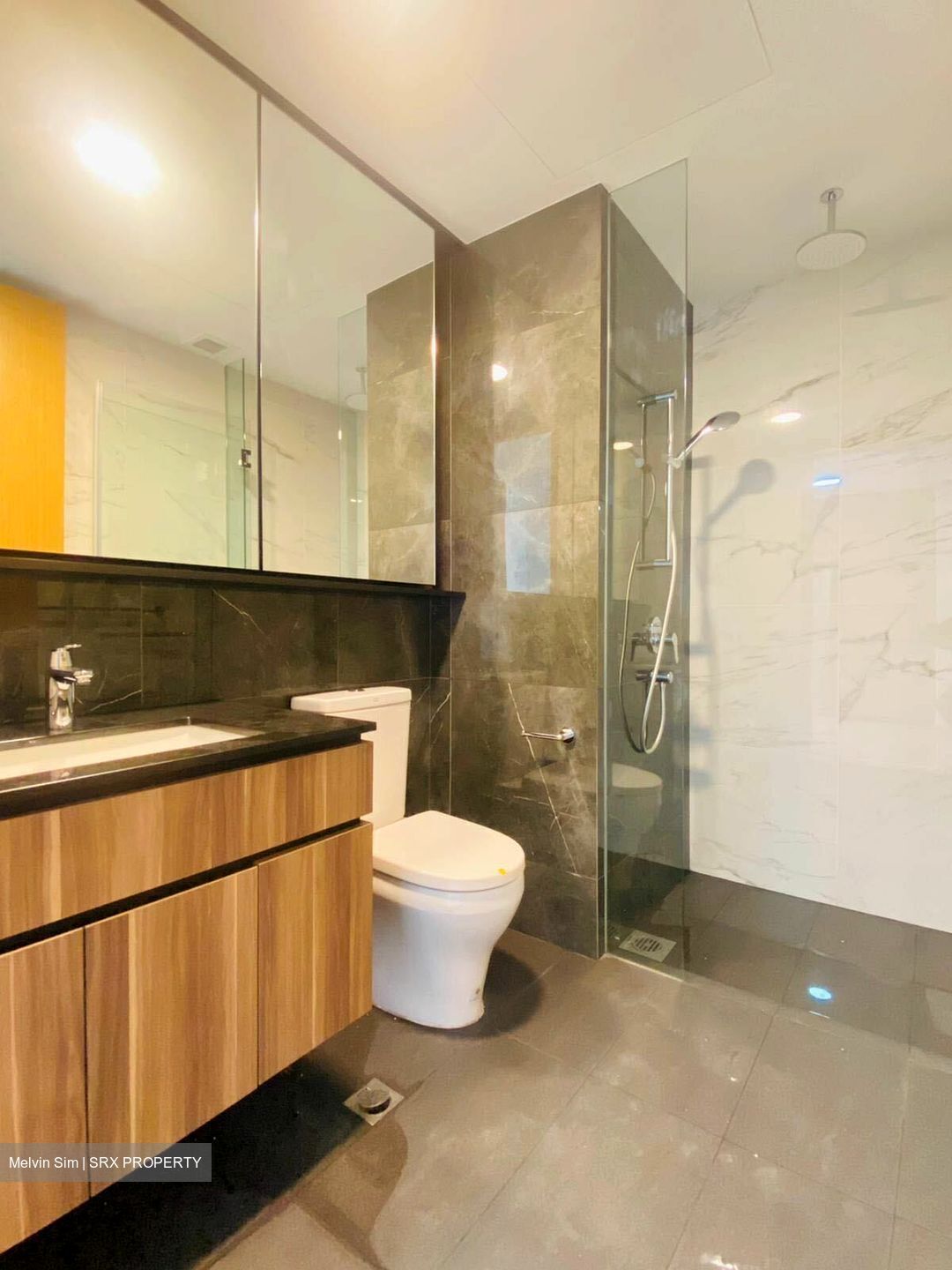 The Verandah Residences (D5), Apartment #570656181